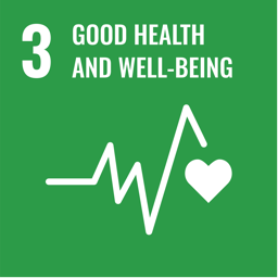 SDG 3 Good Health and Well-being icon